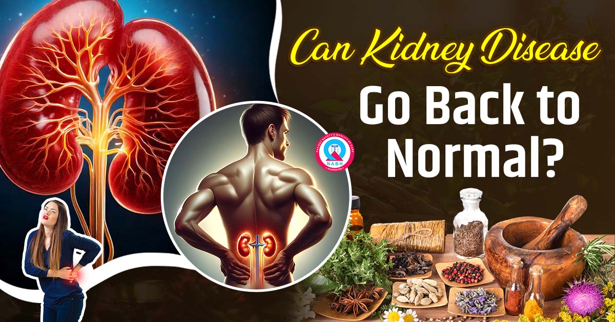 can-kidney-disease-go-back-to-normal